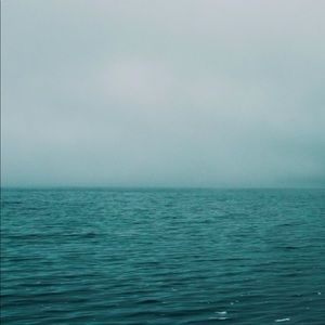 Meet your Posher, Bryce